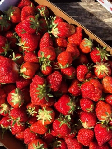 Fresh picked strawberries in cardboard flat.