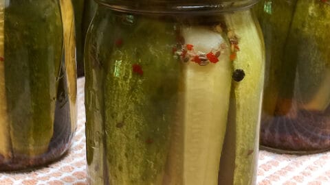 Homemade Garlic Dill Pickles Canning Recipe The Hungry Bluebird