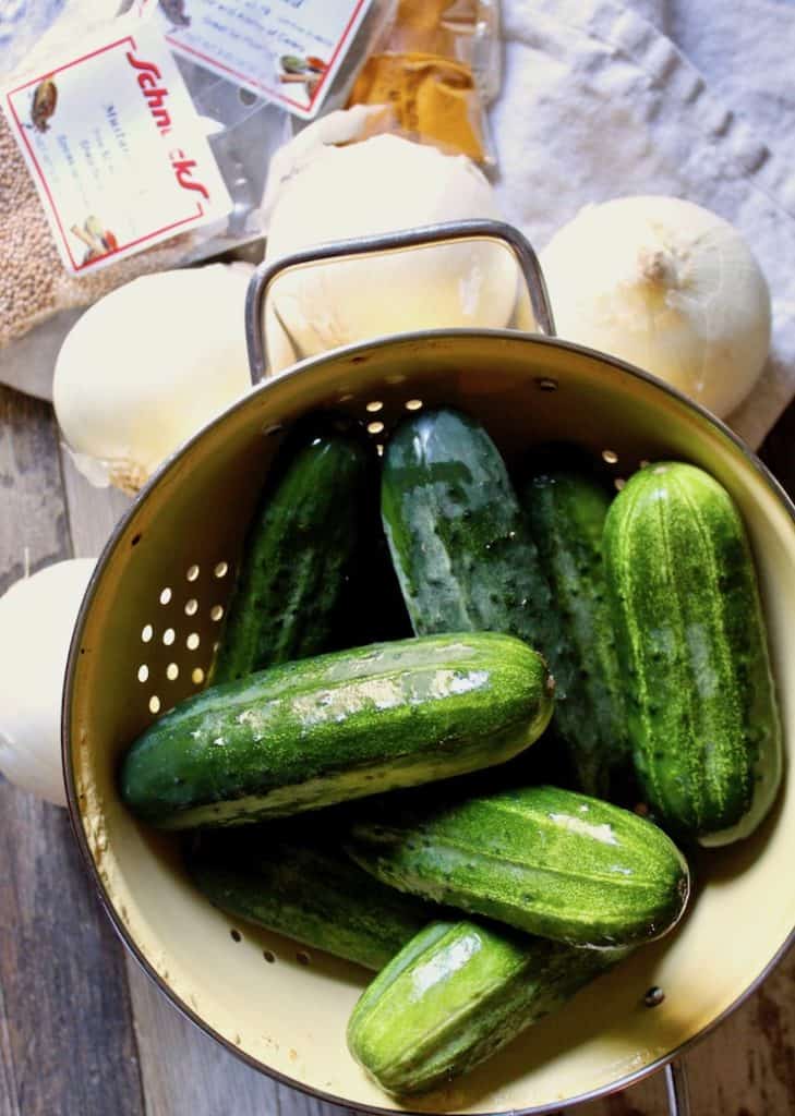 Pickling cucumbers in colander with other ingredients