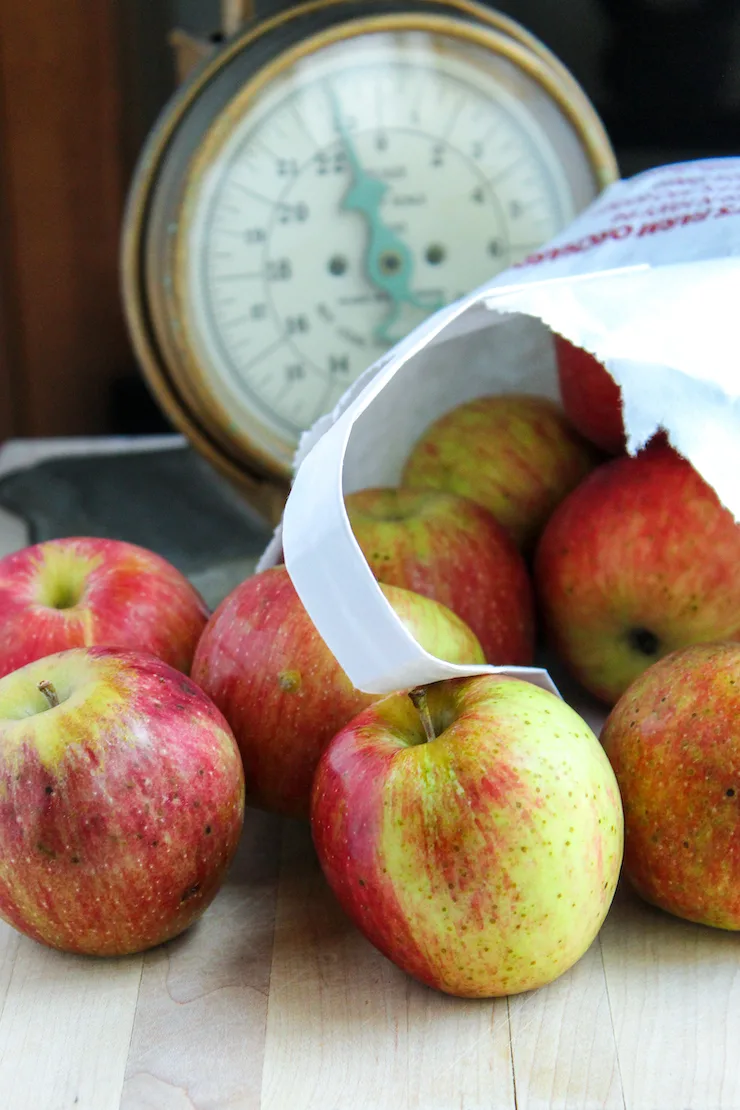 Bag of apples spilling out on table.