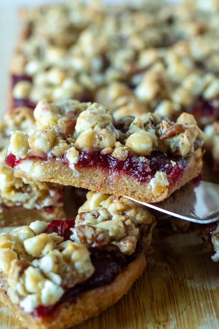 Close up of white chocolate cranberry bar.