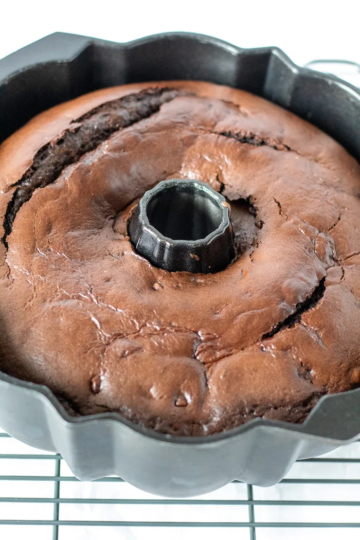 Bundt cake in pan.