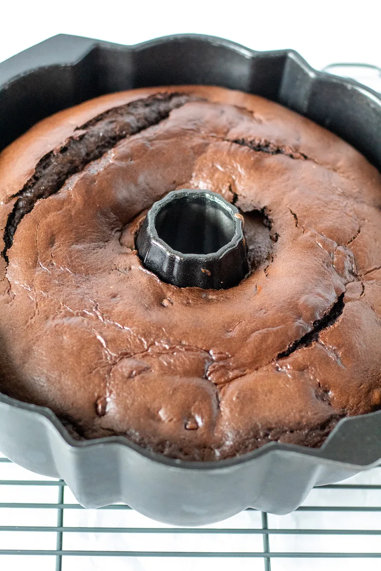 Easy Triple Chocolate Bundt Cake - the hungry bluebird