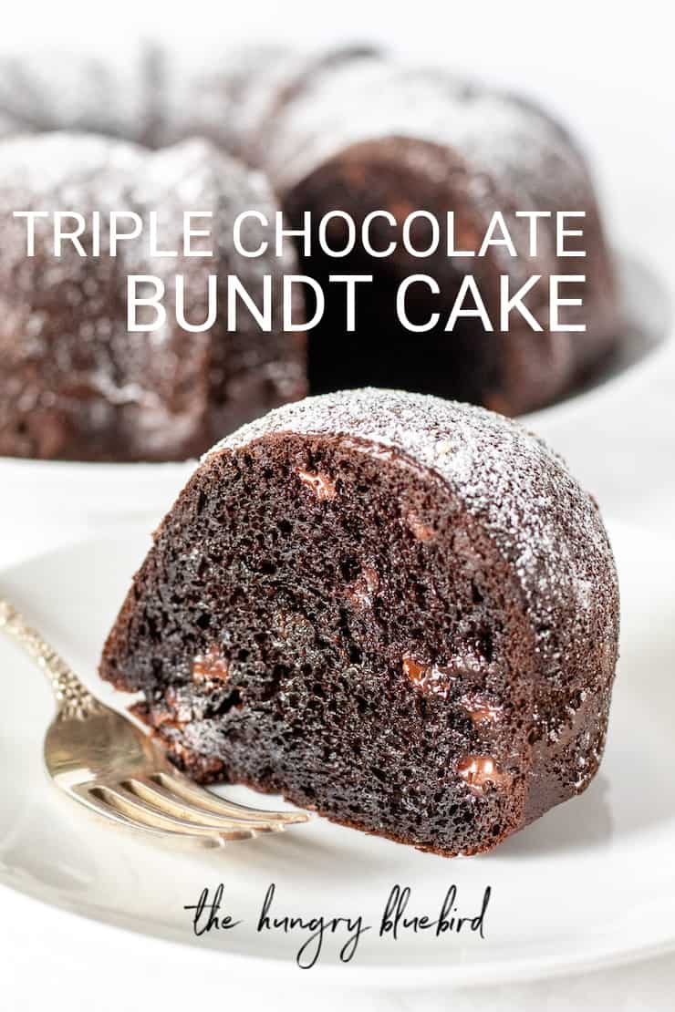 Easy Triple Chocolate Bundt Cake - The Hungry Bluebird