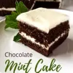 Chocolate Mint Cake, pin for Pinterest with text.