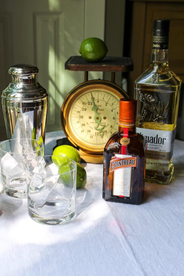 How to Make Classic Margaritas the hungry bluebird