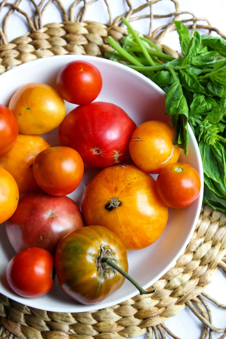 Bowl of fresh, seasonal tomatoes.