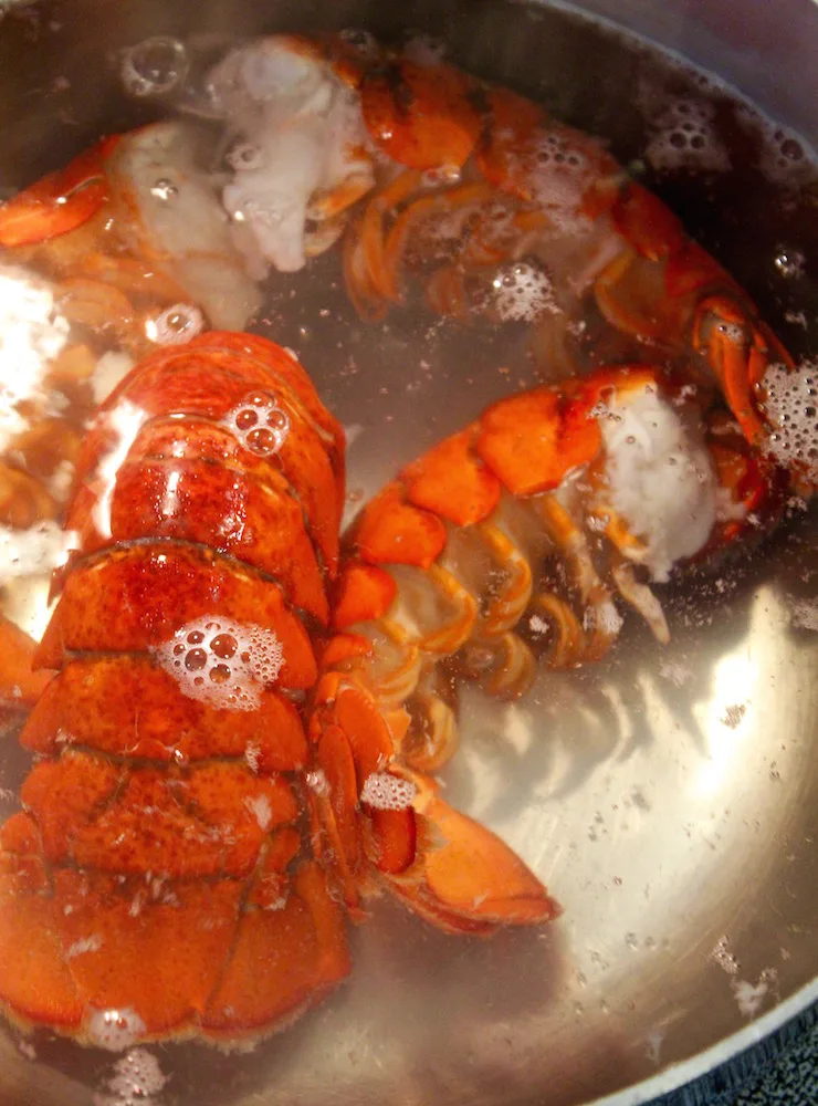 Lobster tails simmering in pot of boiling water.