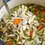 Pot of turkey noodle soup with ladle.