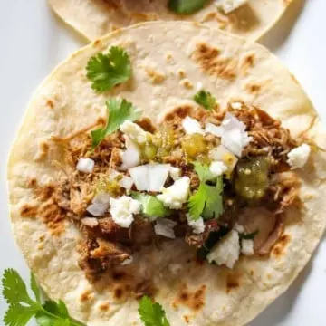 Close up of carnitas taco.