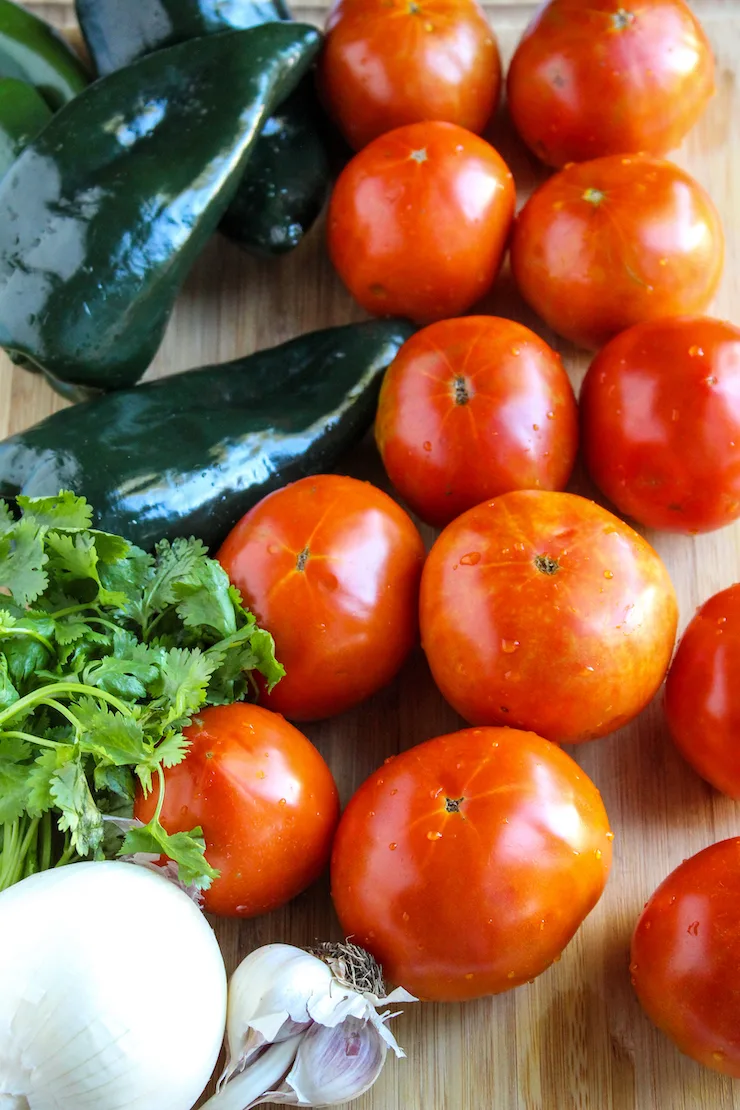 Farm fresh ingredients for salsa.