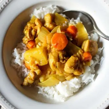 Wafuu curry in bowl with rice.