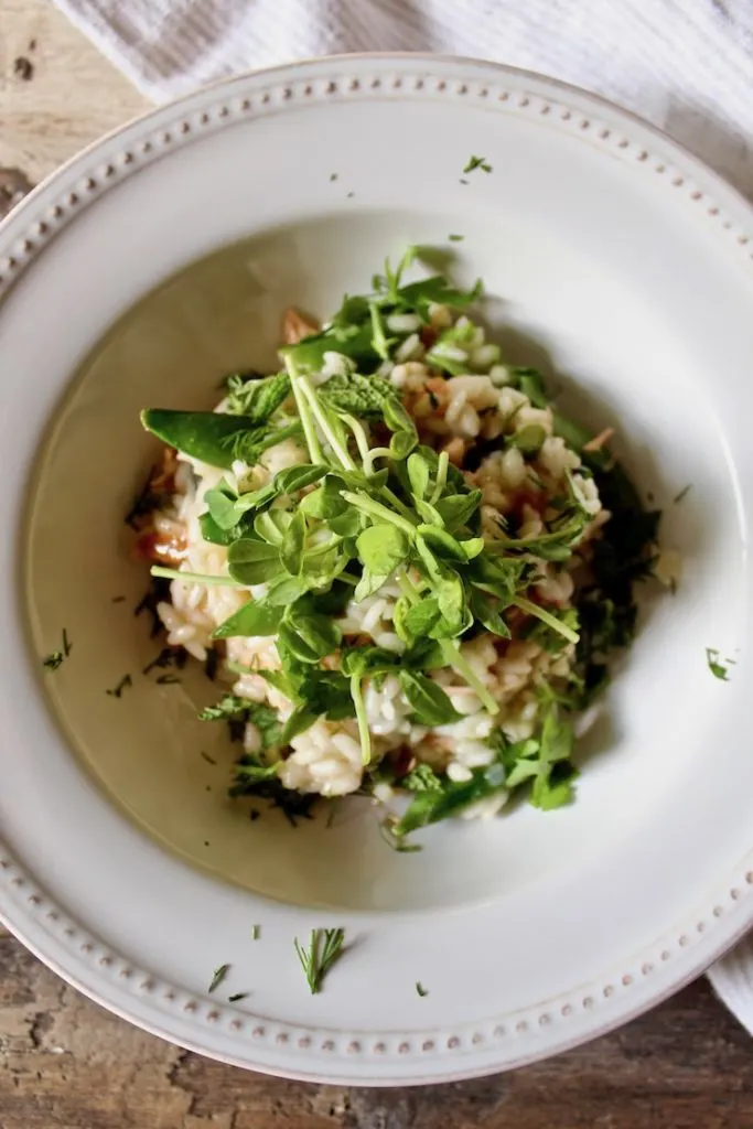 Smoked salmon risotto in bowl