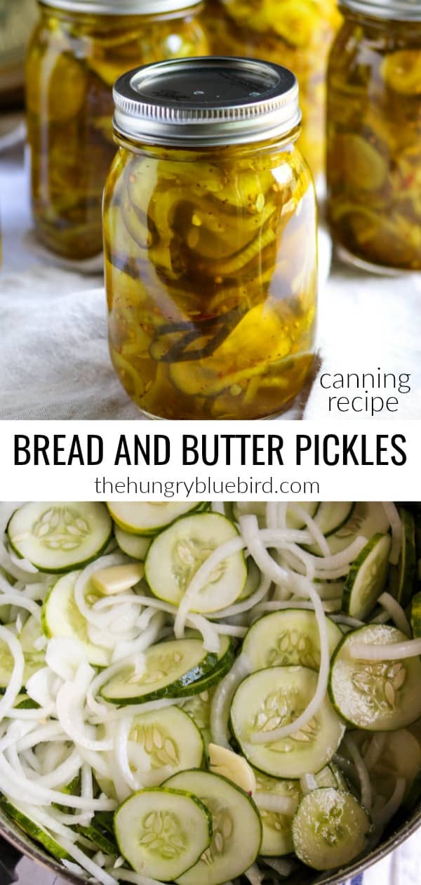 The Best Bread and Butter Pickles Canning Recipe - the hungry bluebird