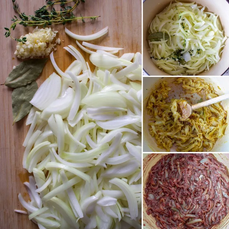 Procees photo collage of caramelizing onions