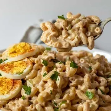 In white serving bowl garnished with hardboiled egg and spoonful closeup.