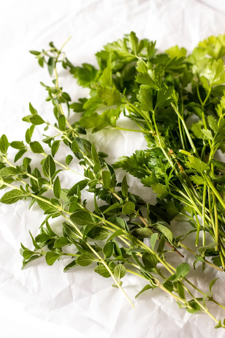 Fresh picked parsley and oregano.