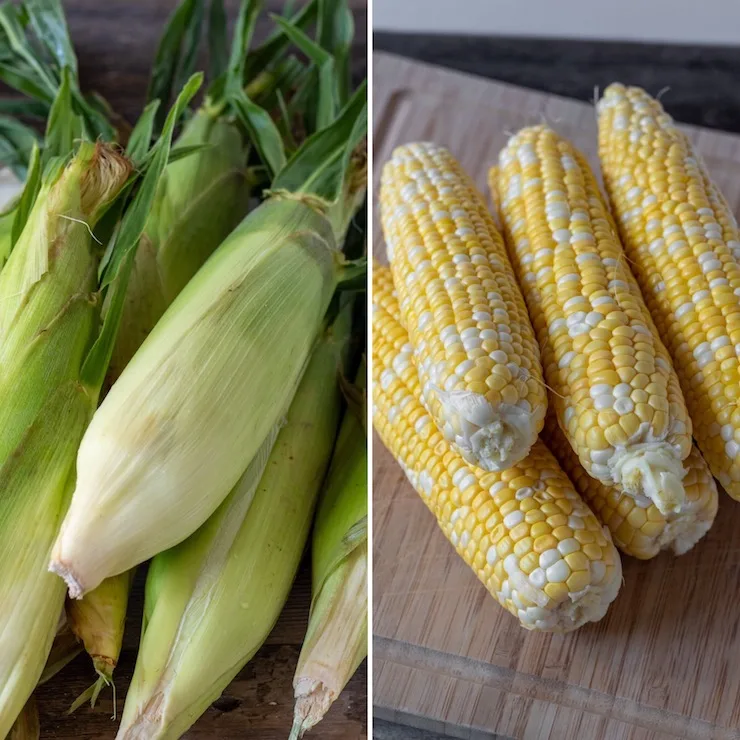 Corn on the cob collage, husked