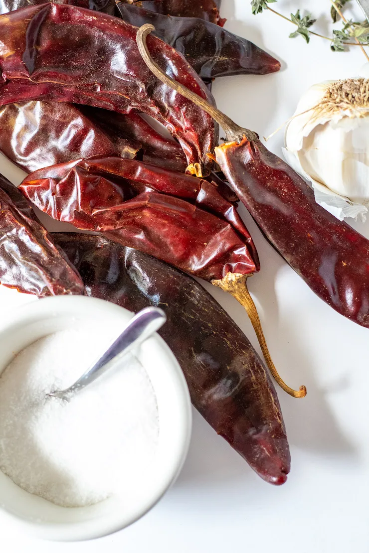 Ingredients close up of guajillo chiles, salt, garlic and oregano.