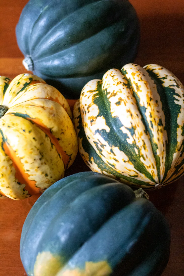 Winter acorn squash varieties.