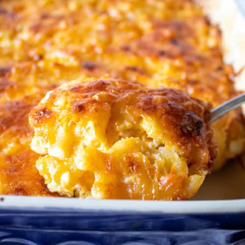 Southern Baked Macaroni And Cheese The Hungry Bluebird