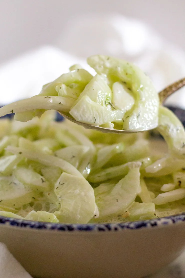 Close up of spoonful of cucumbers and onions