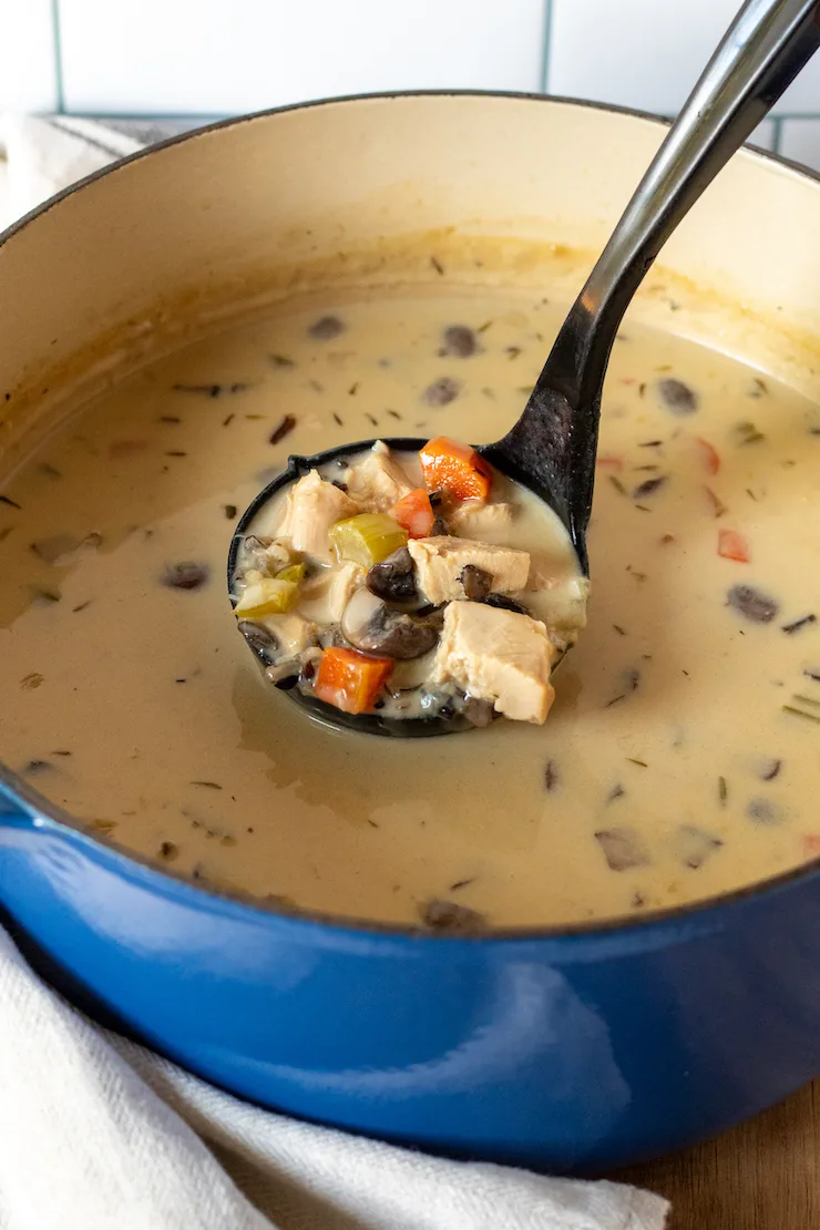 Ladle full of soup coming out of soup pot.