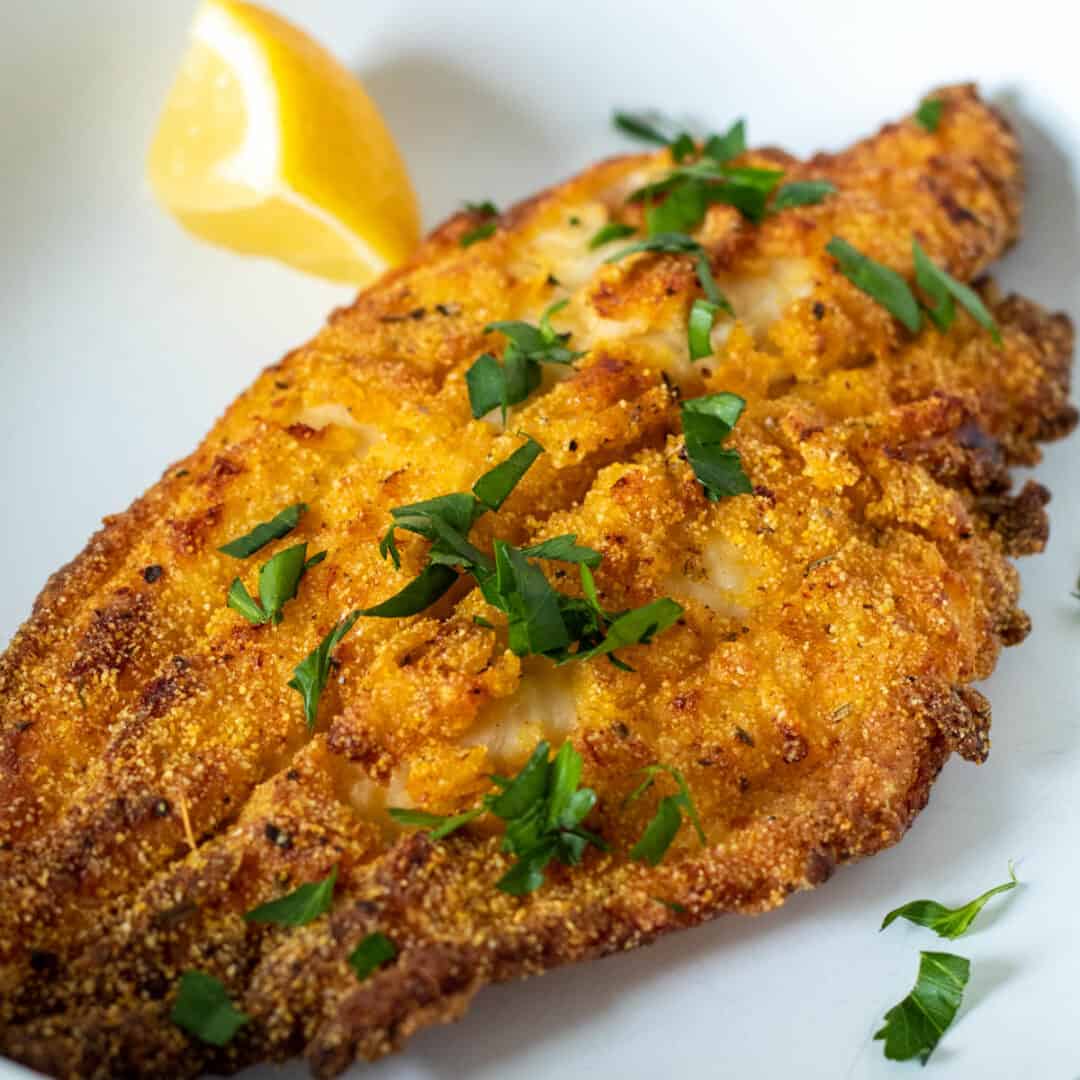 Air Fryer Southern Fried Catfish - The Hungry Bluebird