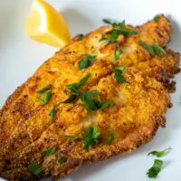 Catfish in air outlet fryer