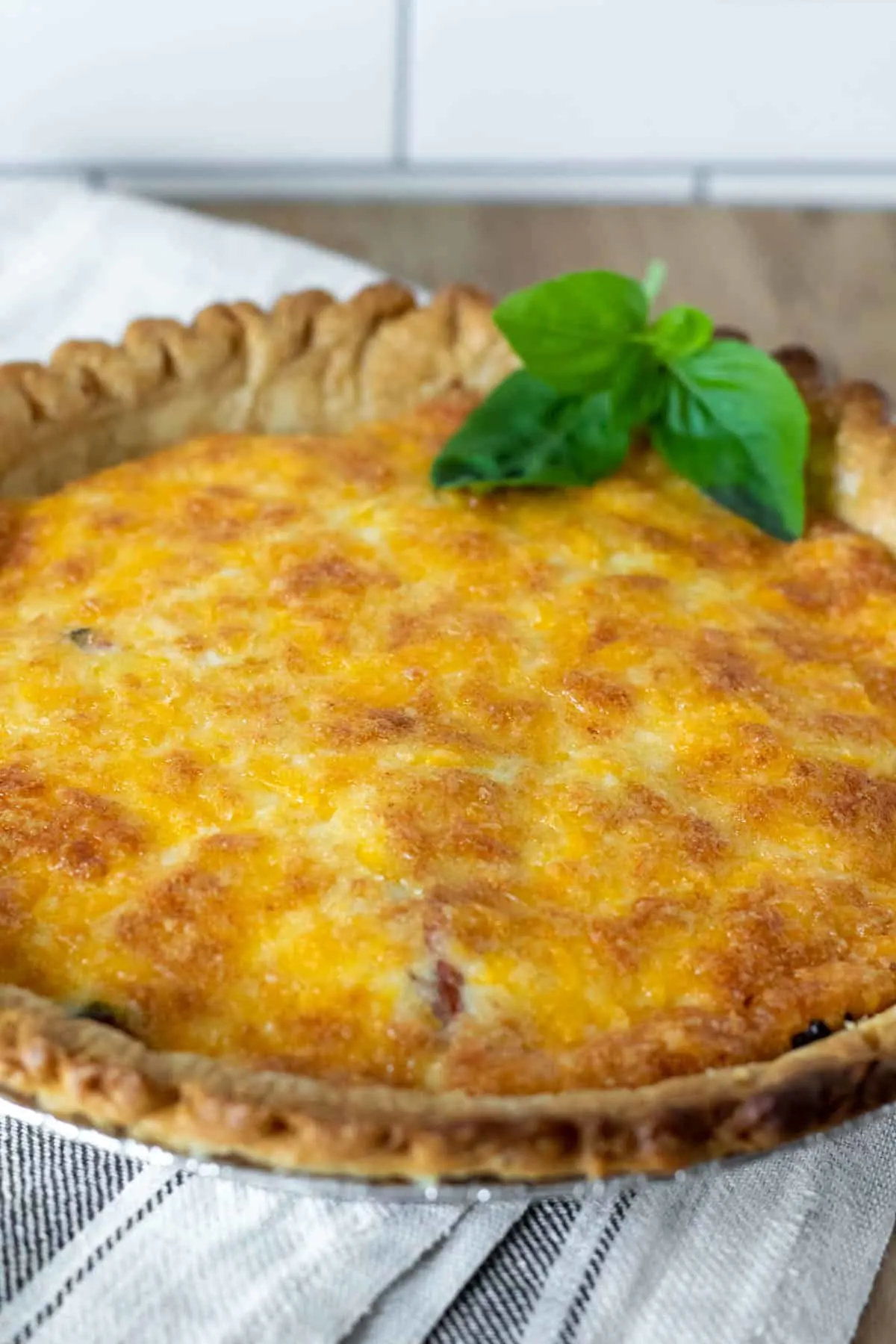 Whole tomato pie, baked and browned out of oven.