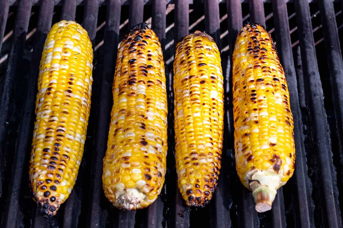 Charred corn on the cob on the grill.